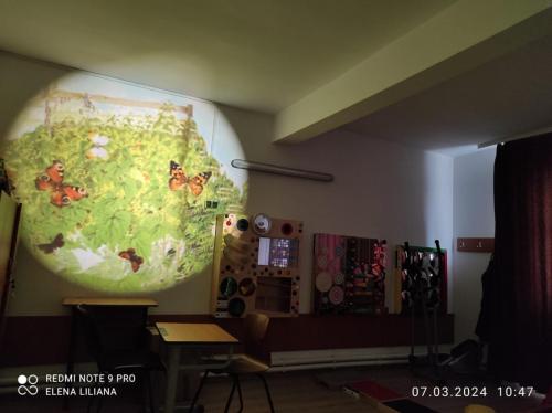 camera-de-stimulare-senzoriala-3